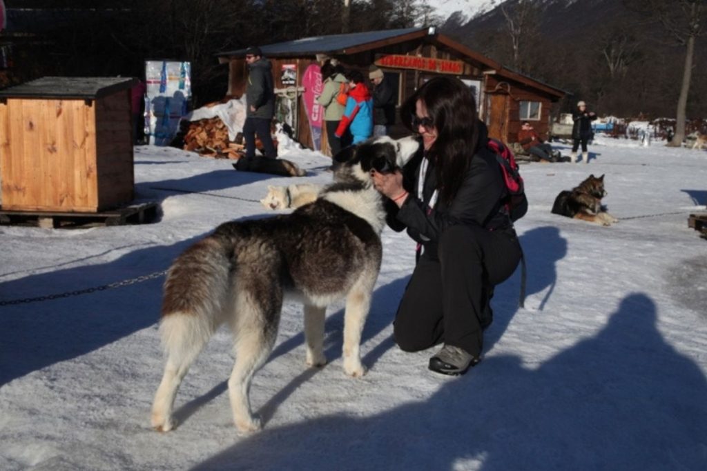 Full day nieve