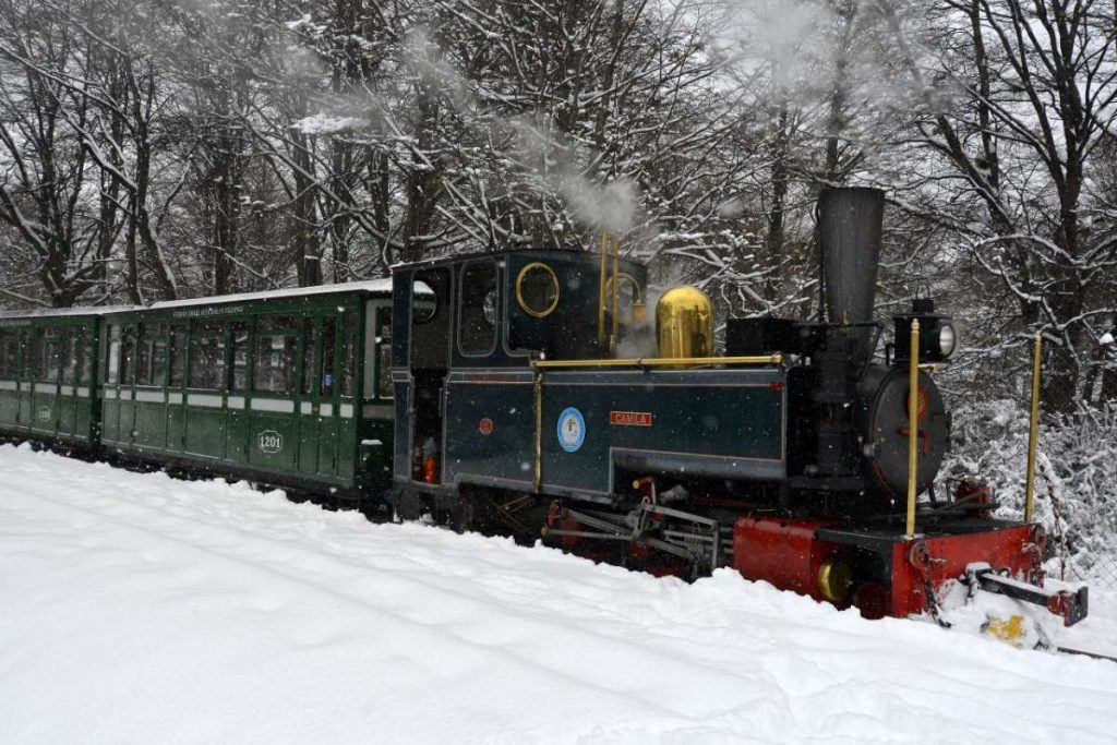 Historia del Tren del fin del mundo 05