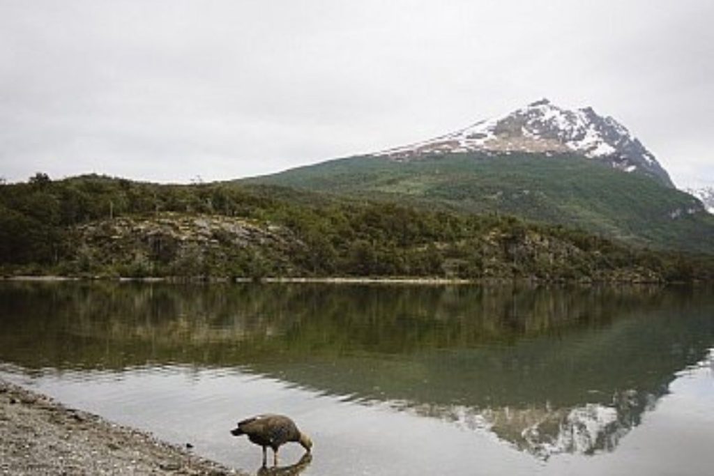 Parque Nacional tierra del fuego 5