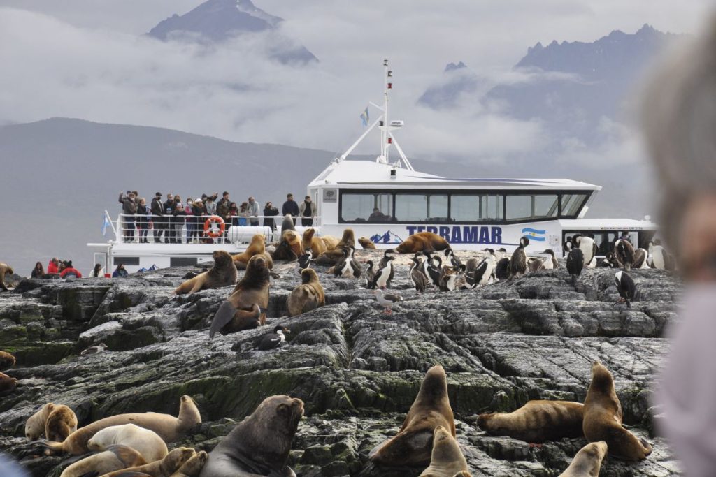 Ushuaia en verano flora y fauna 04