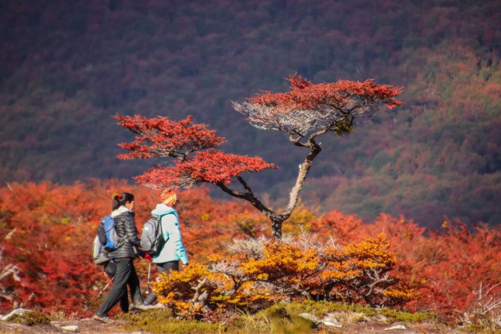 otoño en Ushuaia