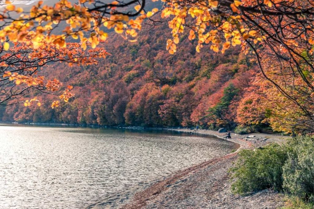 Las mejores fotos de Ushuaia en otoño 01