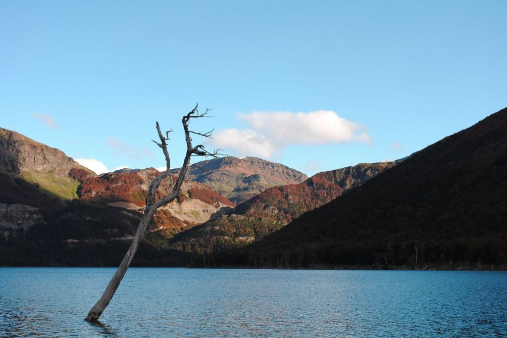 Las mejores fotos de Ushuaia en otoño 05