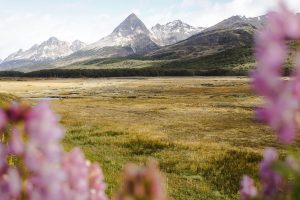 Qué hacer en Ushuaia en primavera PORTADA