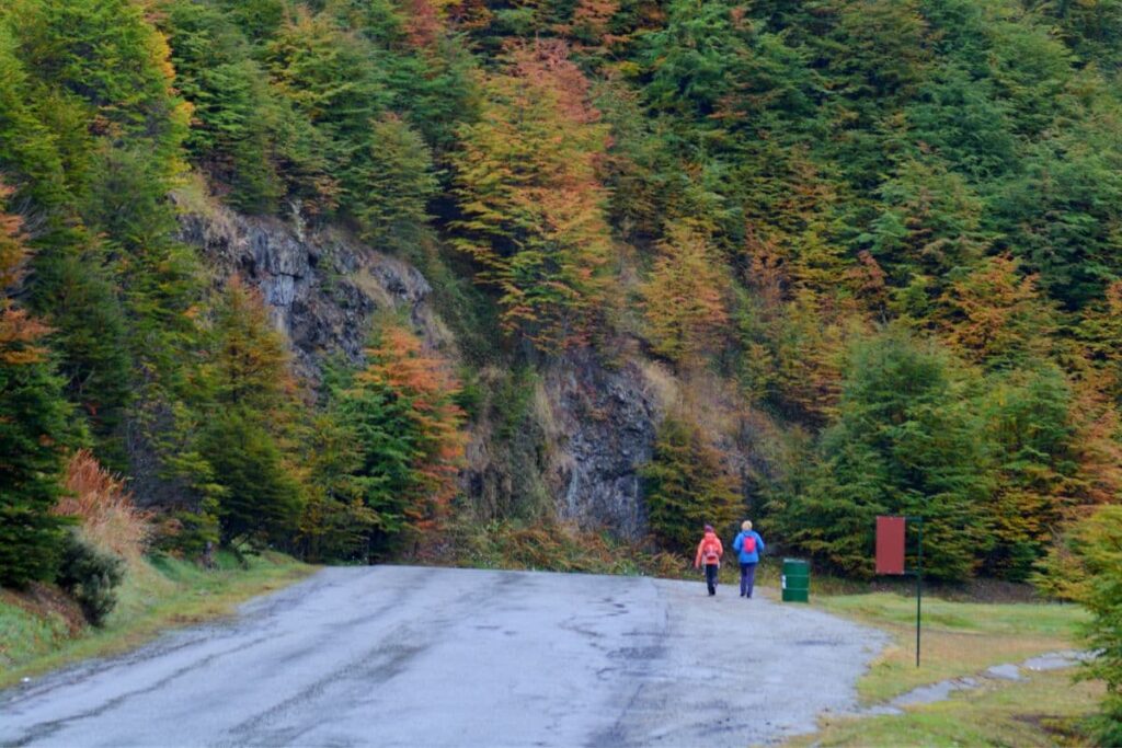 Autumn in the hidden lake